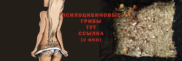 твердый Ельня