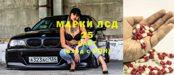 твердый Ельня