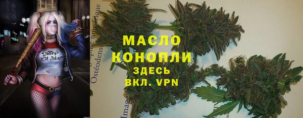 твердый Ельня