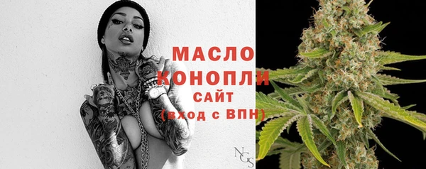 твердый Ельня