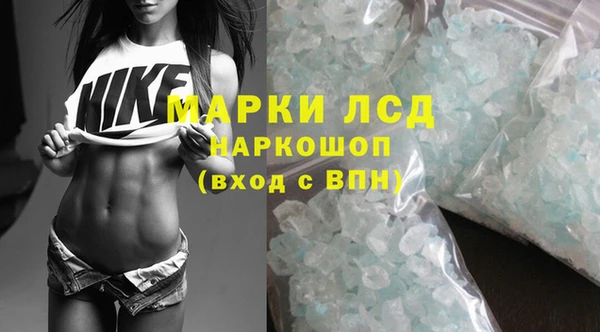 твердый Ельня